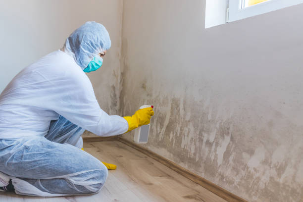 Best Mold Removal for HVAC Installations  in El Granada, CA