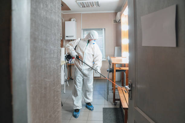Best Real Estate Mold Inspection  in El Granada, CA