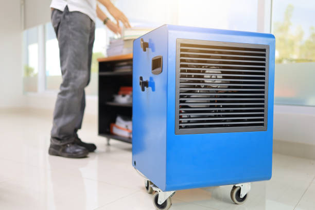 Best Commercial Mold Inspection  in El Granada, CA