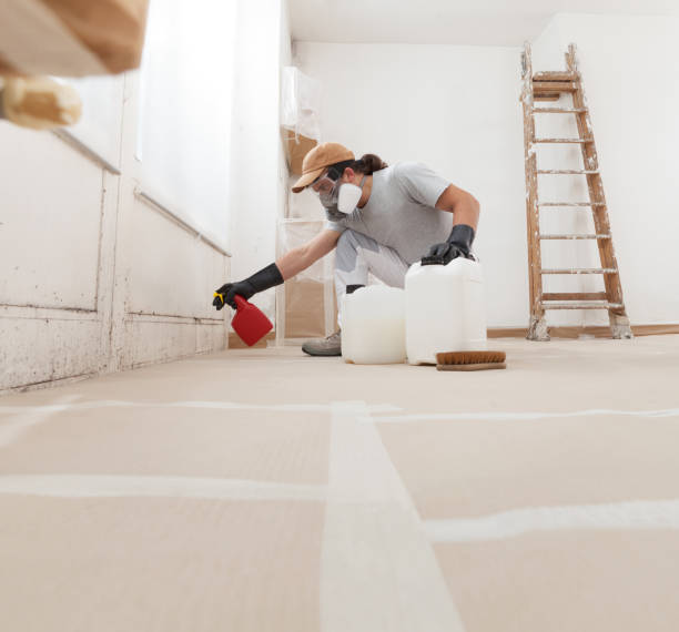 Best Post-Remediation Verification Testing  in El Granada, CA