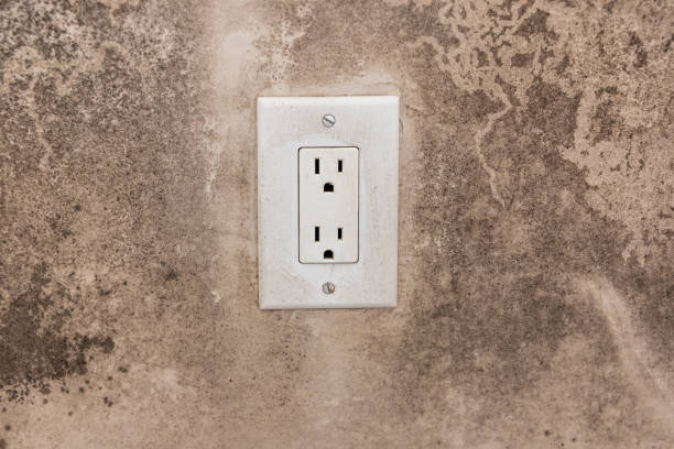 Best Black Mold Removal  in El Granada, CA