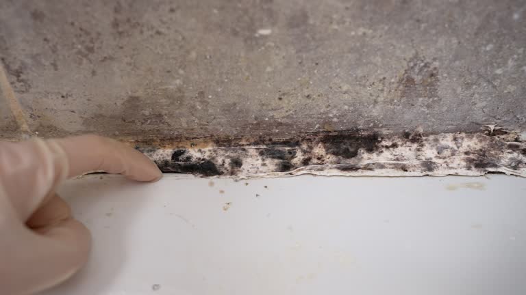 Best Indoor Air Quality Assessment  in El Granada, CA